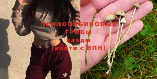 бутират Пролетарск