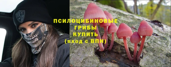 бутират Пролетарск