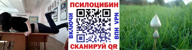 МЕГА ссылки  цены   Волжск  Псилоцибиновые грибы мицелий 