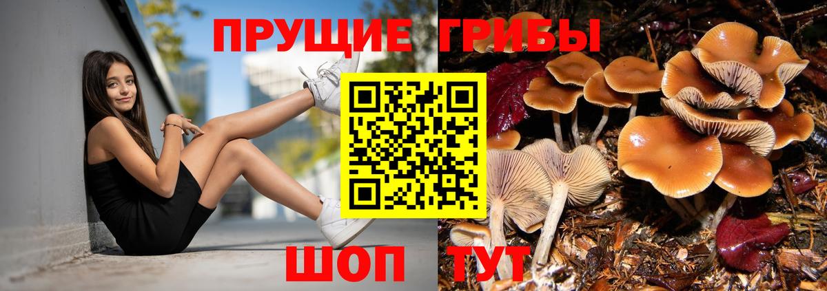Волжск  Галлюциногенные грибы GOLDEN TEACHER  Вход с VPN 
